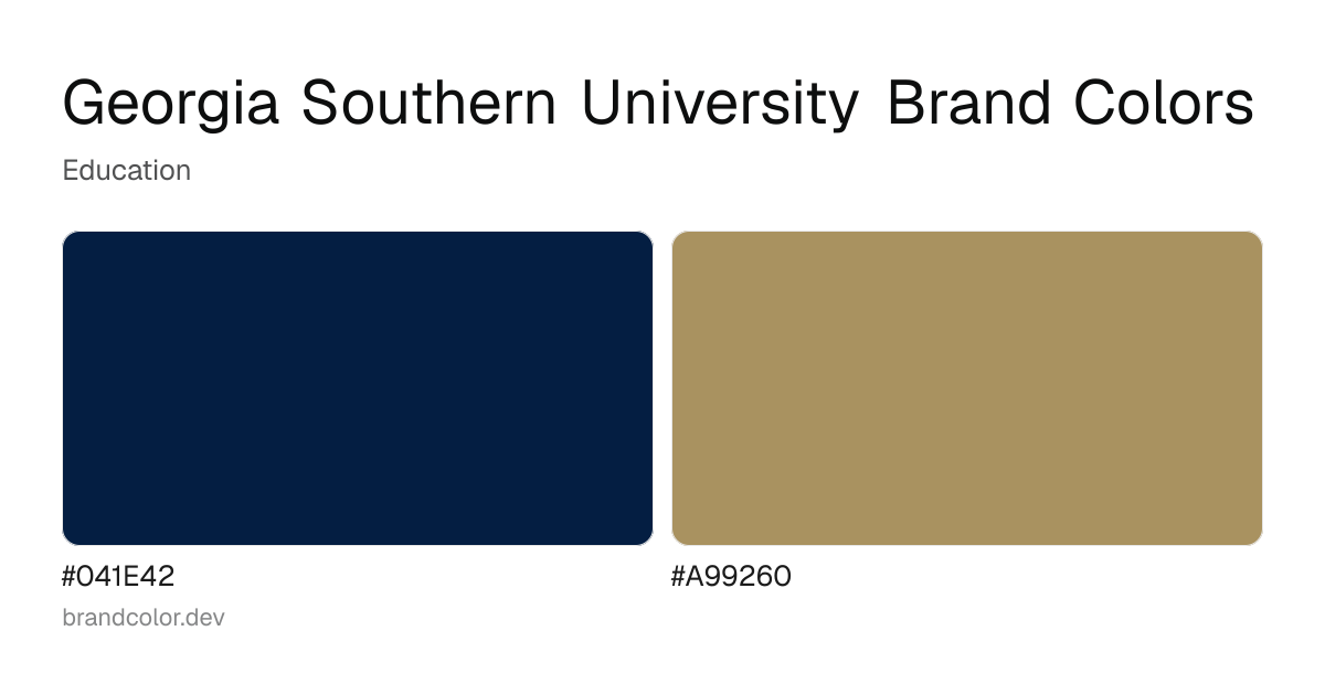 Georgia Southern University brand color palette with hex codes: #041E42, #A99260